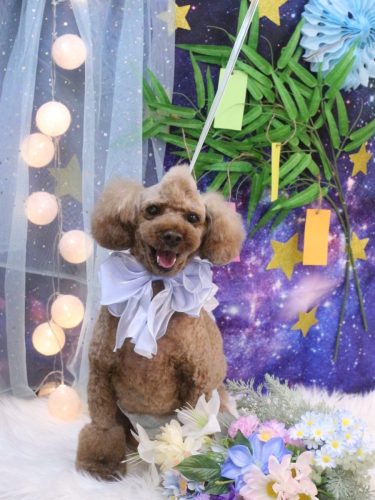 20250701くうくん